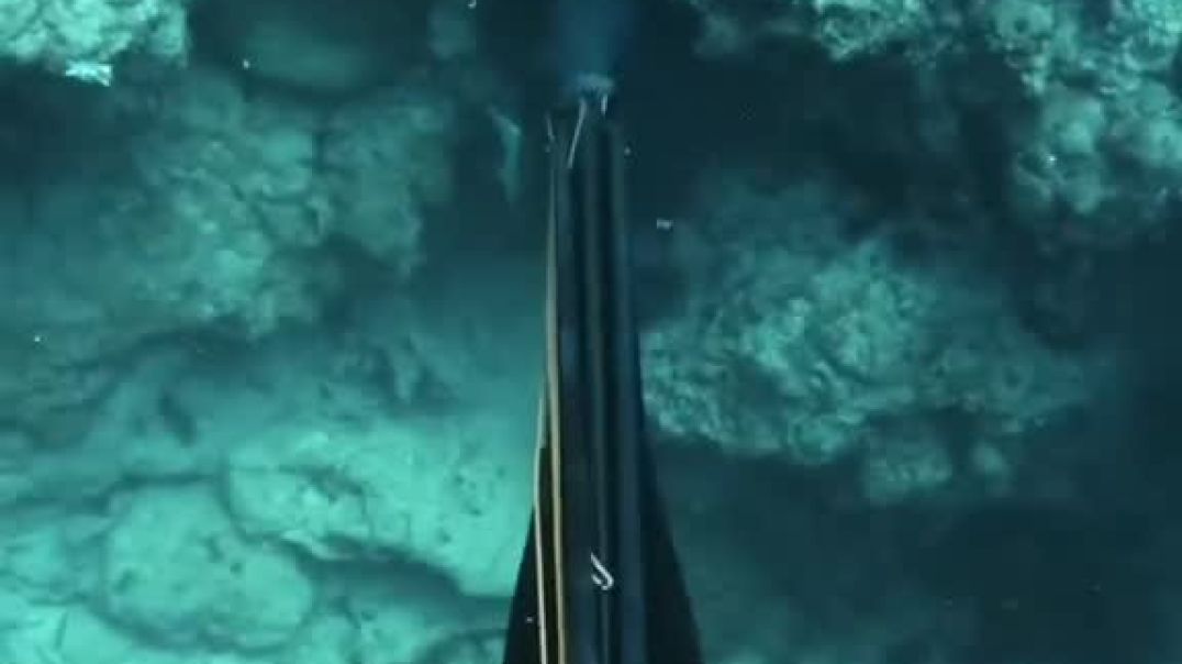 ⁣Fishing with wooden