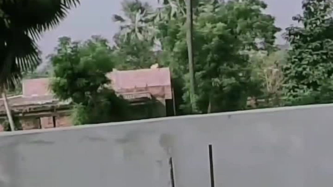 lv_7420503232541117714_20251122053447