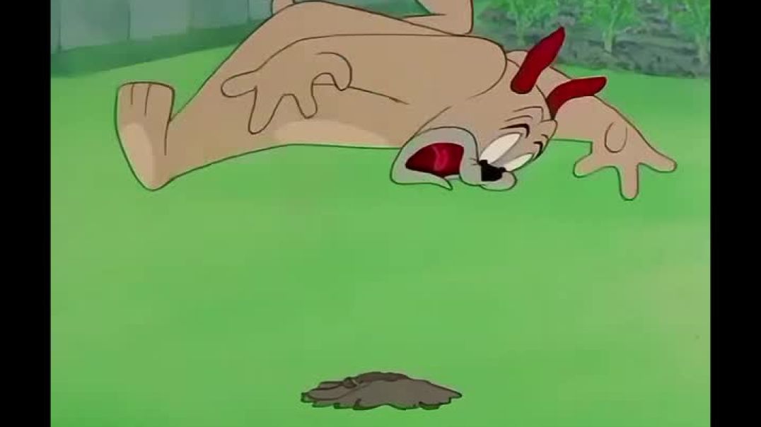 ⁣😂😂😂__🎬 Garden Gopher (1950) brought one of the most memorable silent battles in classic animation to