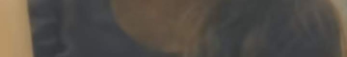 de028bc55