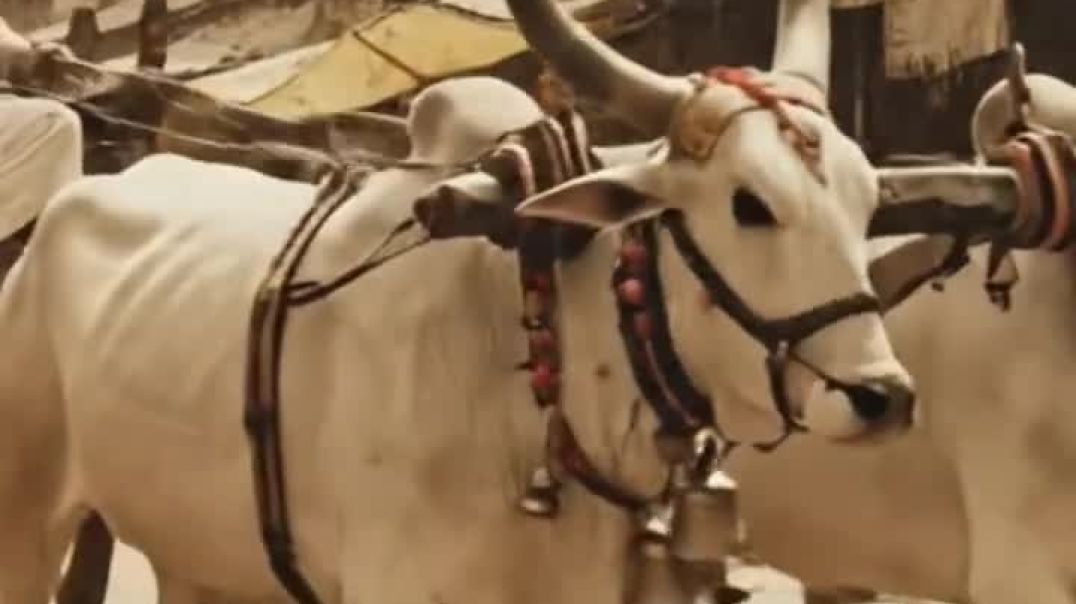 1947 का लखनऊ पुराने दिन                      #puranedin #mrbeast #viralshorts