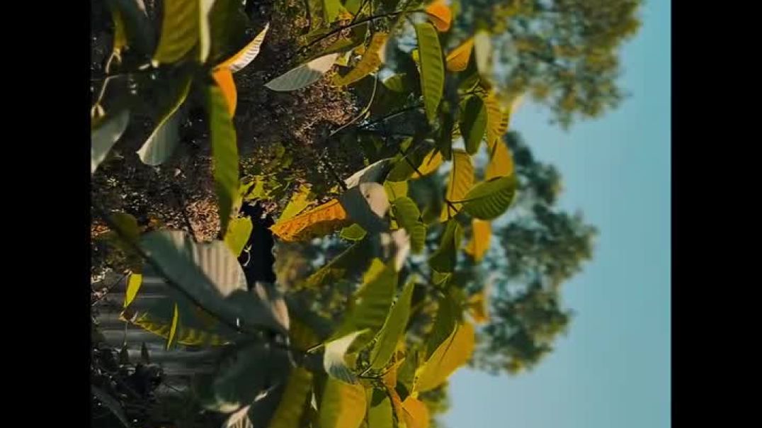 ⁣New cinematic video