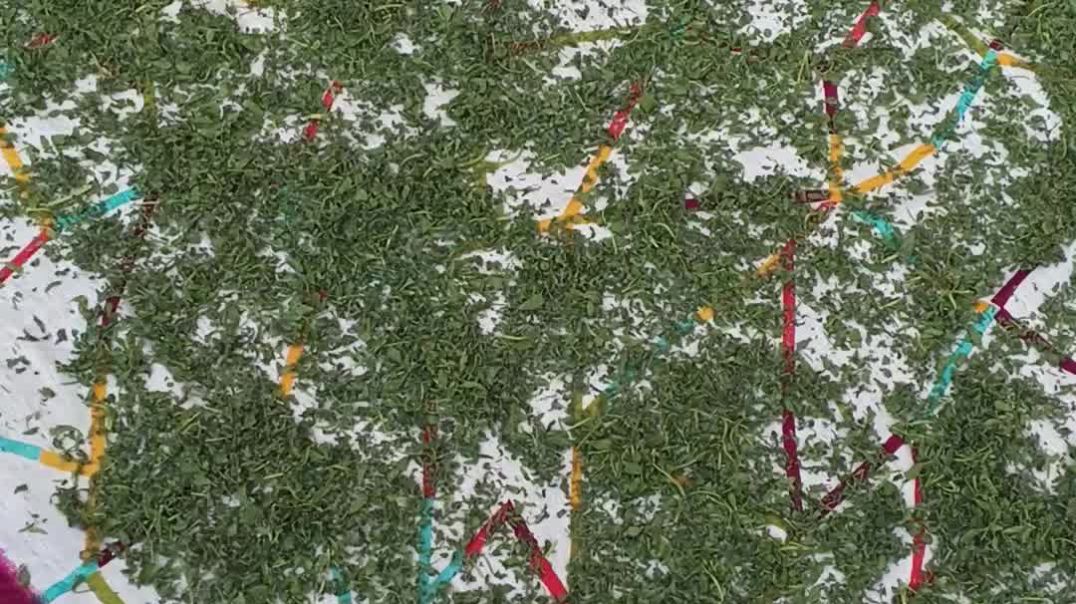 ⁣Chane ka kachcha sukha saag