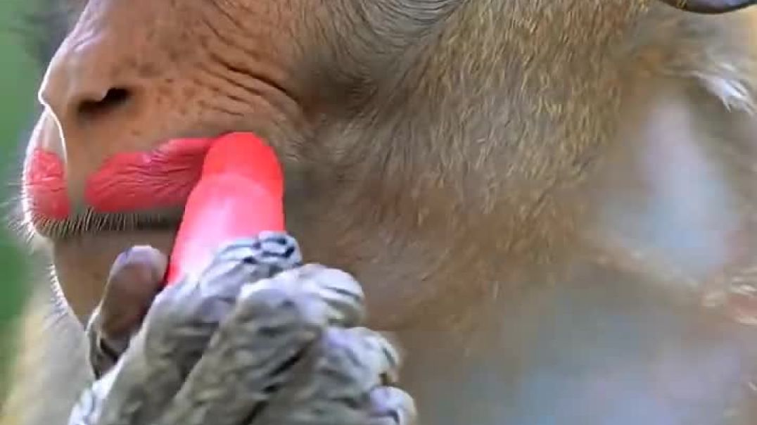 ⁣Monkey makeup funny_makeup(720P_HD)