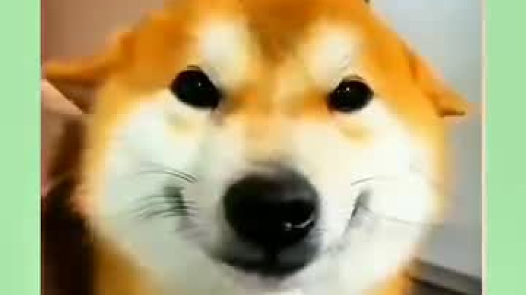 ⁣New Funny Video 😂♥️😘 #funny #trending #memes #cartoon #video