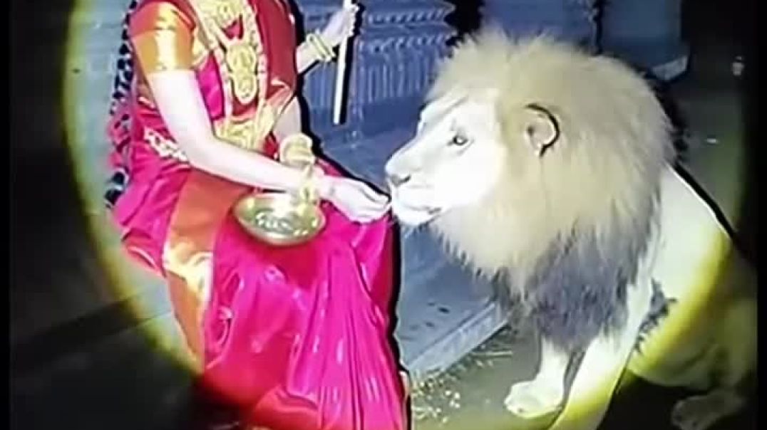 ⁣#Video - बघवा आईल बा - #Tuntun Yadav | Goldi Yadav | Baghawa Aail Ba | New  Hit Devi Geet 2025