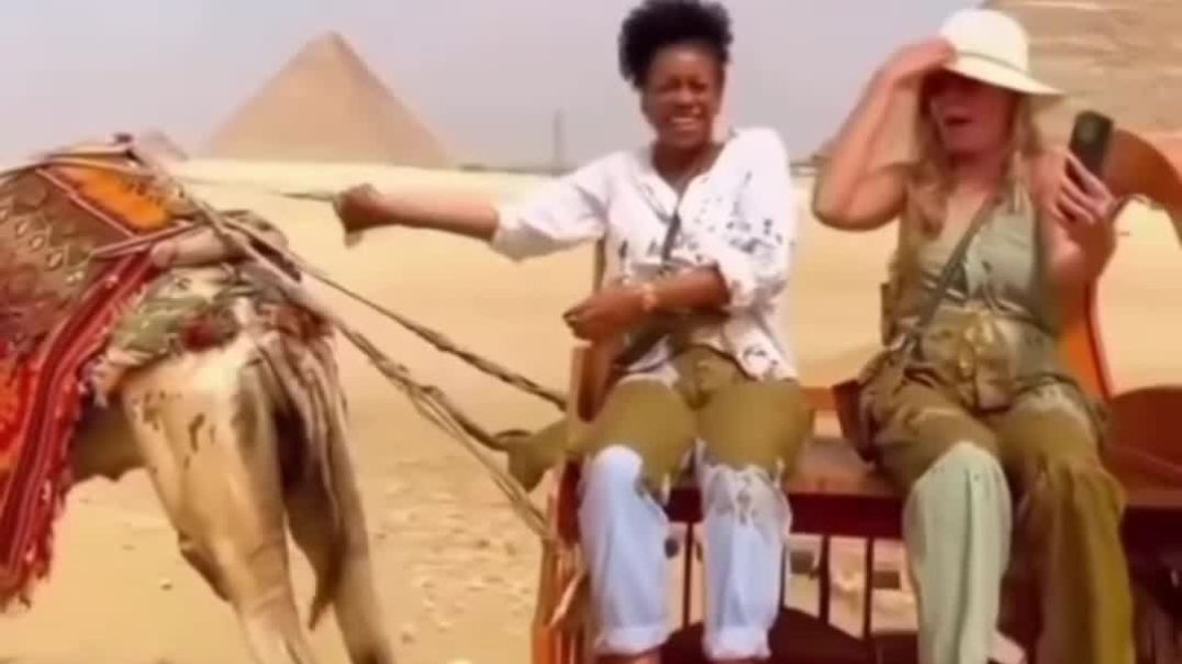 VID_20251203_204559_796