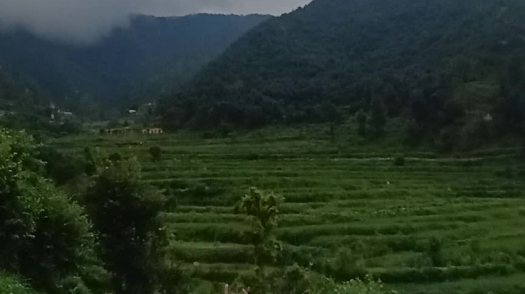 ⁣My village in uttarakhand
