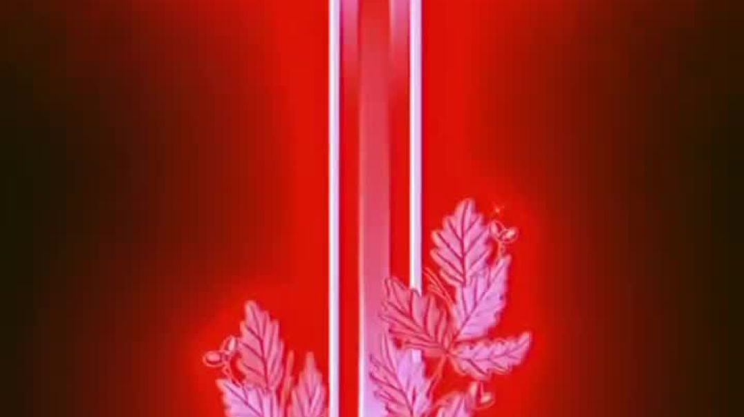 ⁣Please 100k followers  support me 📌