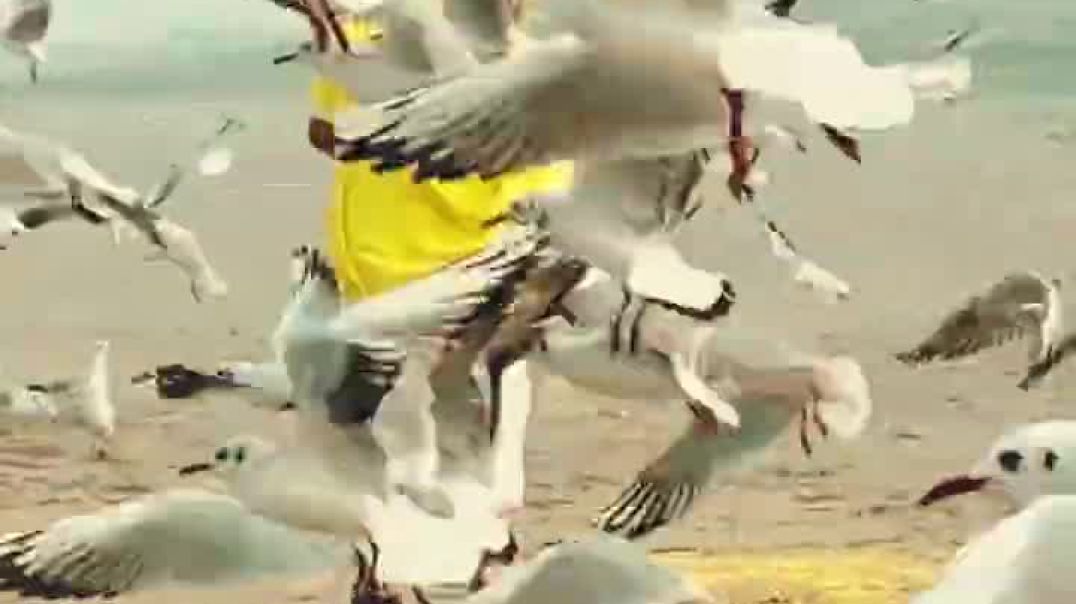 ⁣पक्षियों को दाना खिलाते हुए पूज्य महाराज जी #premanandjimaharaj #bhajanmarg