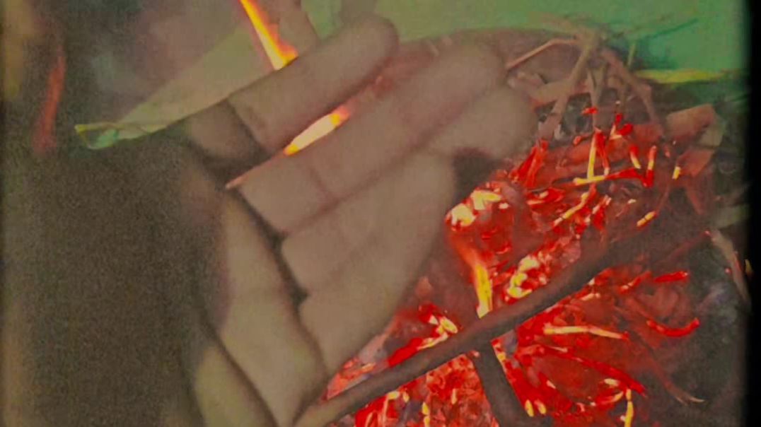 VID_20251204_050723_384