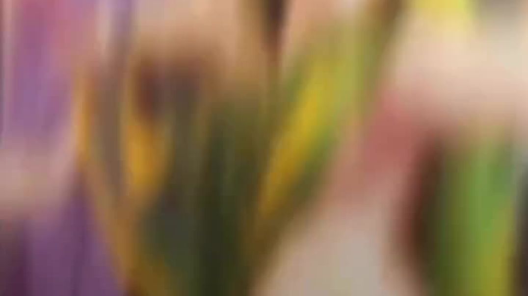 ⁣भाभी जी पै