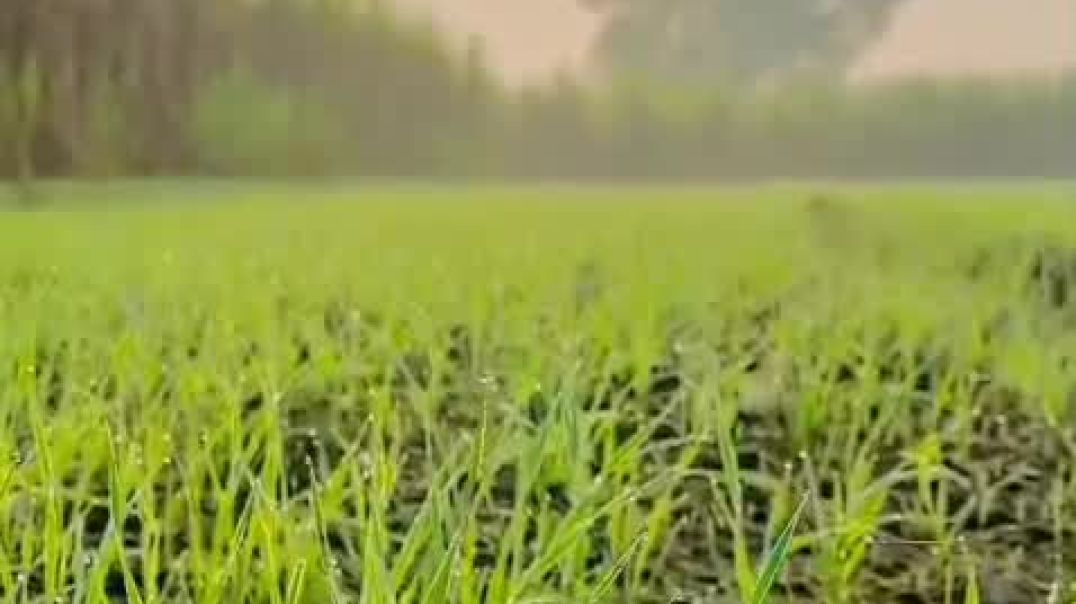 ⁣VID-20251214-WA0001