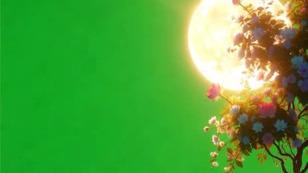 ⁣Green screen video