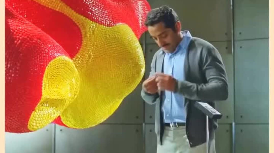 VID_20251208_101254_084