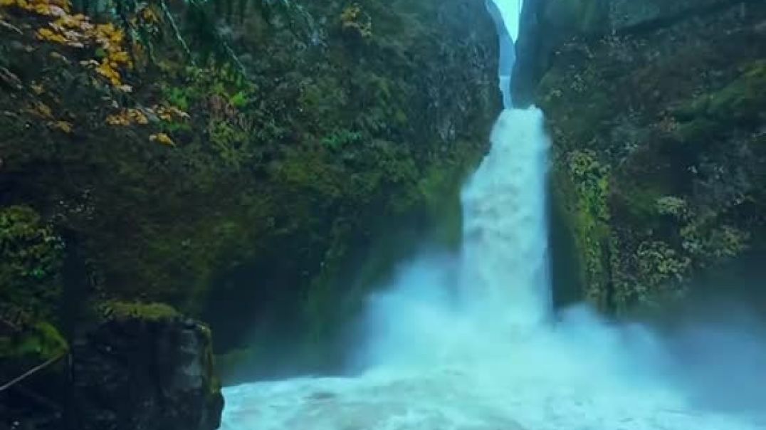 Amid_the_lush_forest,_the_Columbia_River_Gorge_unveils_its_overflowing_waterfalls_and_wild_serenity