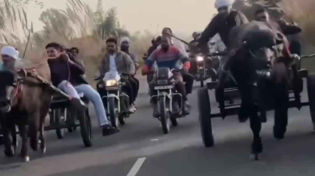 VID_20251212_040939_857