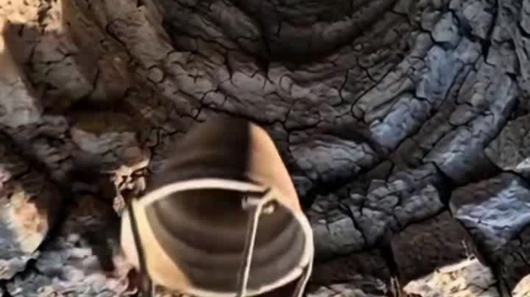 ⁣राजस्थान अरावली पर्वत