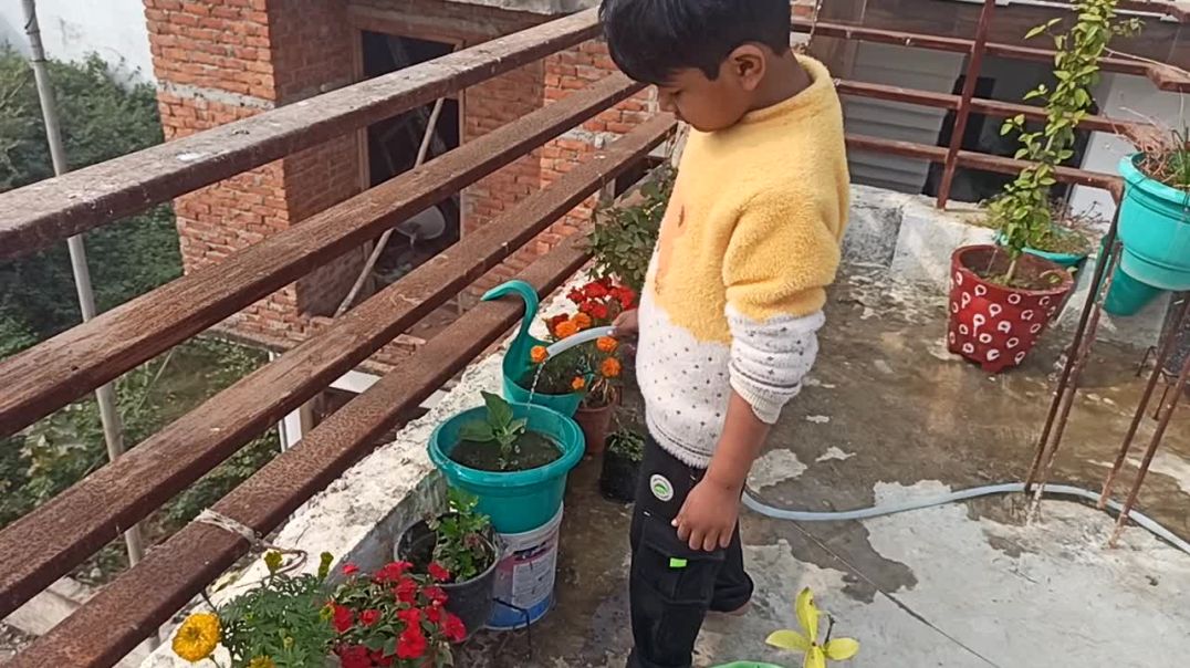 ⁣My lovely garden #garden Tarrace gardening my home garden #viral #minigarden