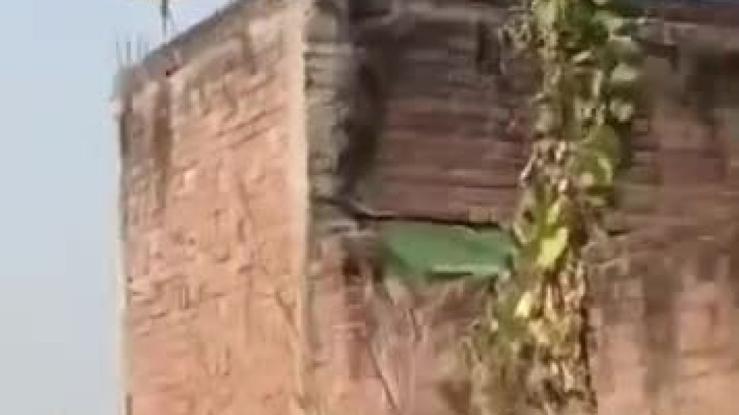 %E0%A4%8F%E0%A4%9F%E0%A4%BE+%E0%A4%AE%E0%A5%87%E0%A4%82+%E0%A4%A6%E0%A5%8B+%E0%A4%AA%E0%A4%95%E0%A5%