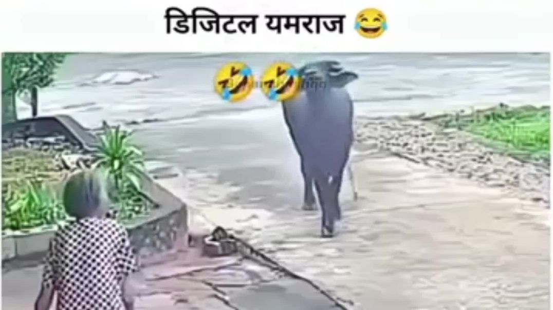 ⁣WAIT FOR END 🤪😜