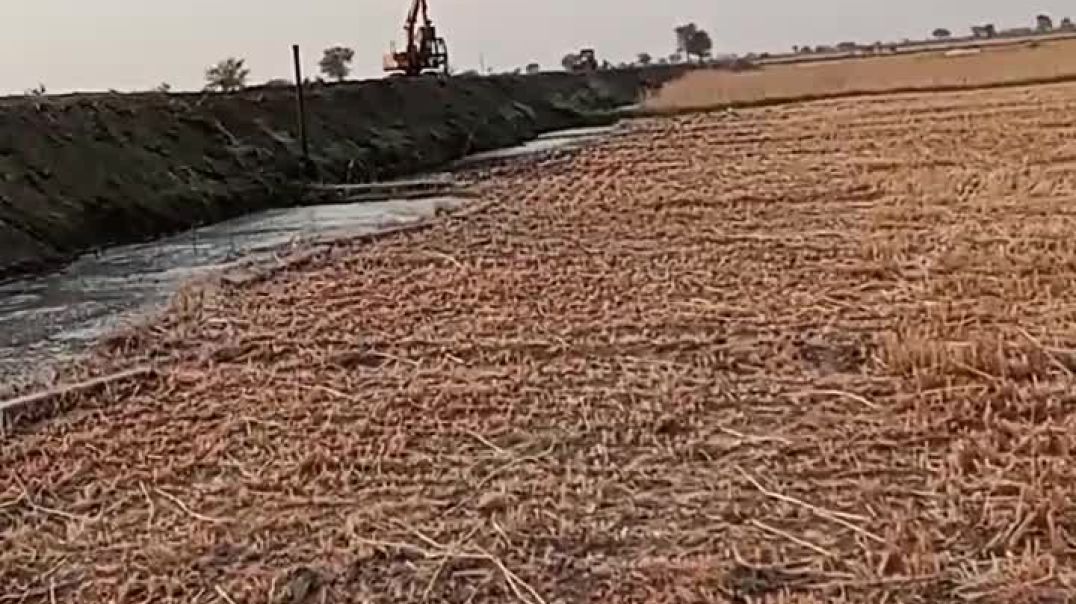 VID_20250403_050312_220