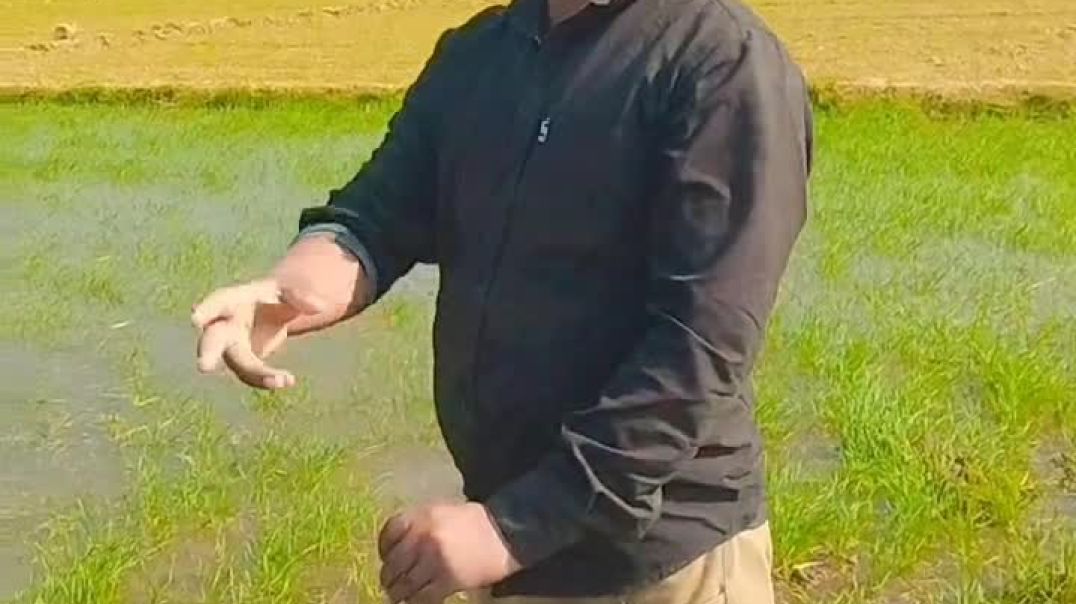 ⁣अगर आप को खेतों में पानी लगाना नहीं आता है तो??🤣😂#short #video #viral #reels #manoj #daily #कॉमेडी