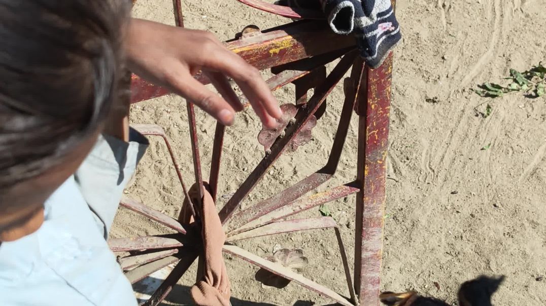 ⁣मानव जीवन