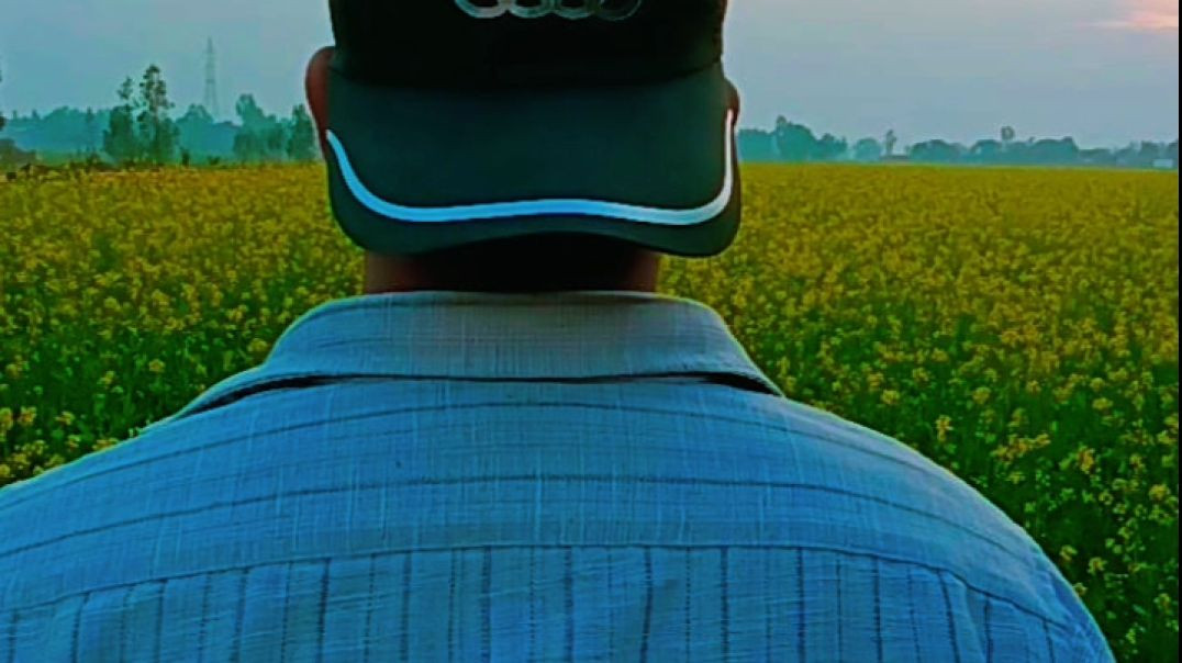 VID_20251212_050841_100