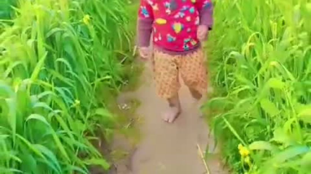 ⁣VID-20250201-WA0000