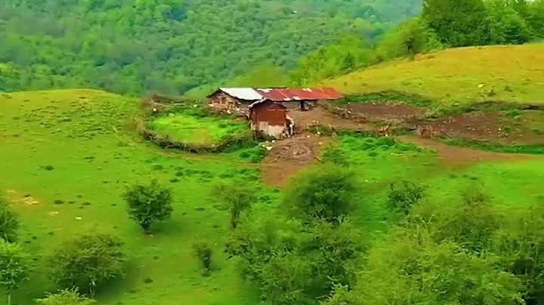 VID_764950719_230032_177