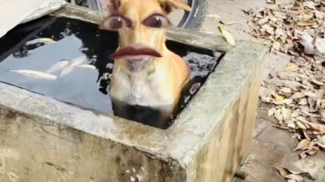 ⁣Andi Mandi Sandi 😂