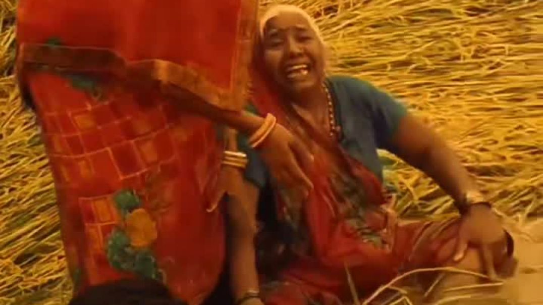⁣धान की नुकसान होने पर किसान के दिल पर क्या बीता😢