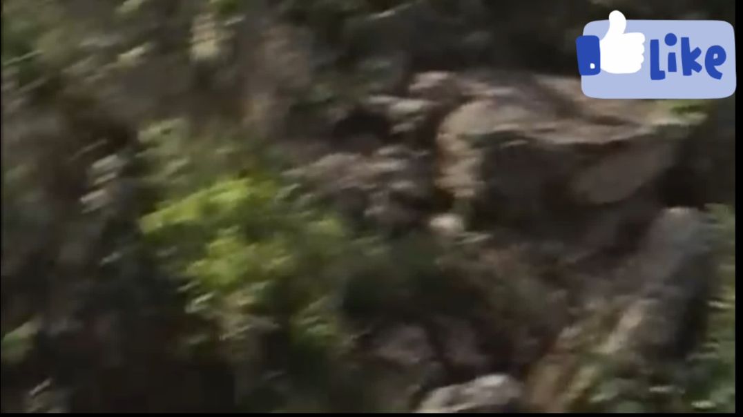 ⁣Chal Gori { Krishna Moni } Nagpuri Song 2023 | Sadri Song