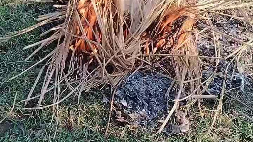 video_20251207_152006