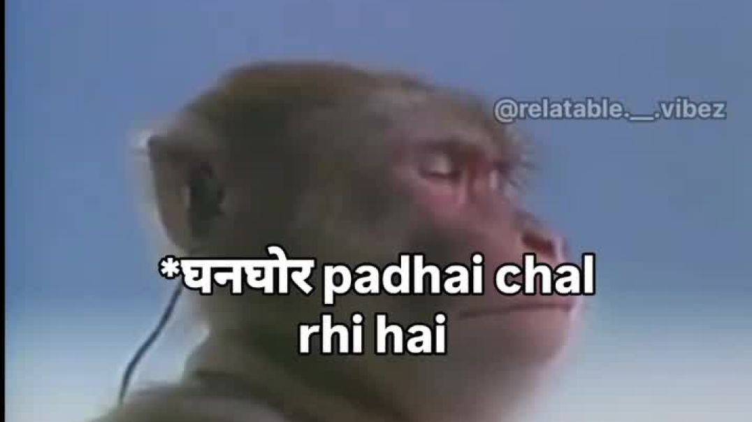 VID_20251201_174546_121