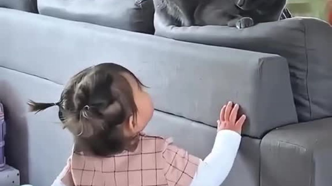 ⁣Funny reaction video 🤣🤣