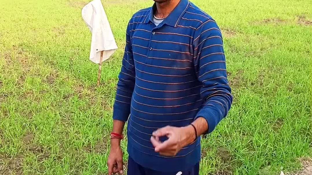 ⁣heppy New Year | Trending || Apnatube trending || Nikki 9012