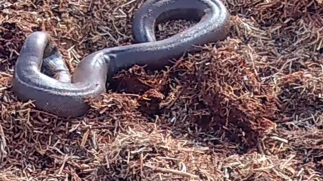 ⁣#2026 #2025 #funny #video #new