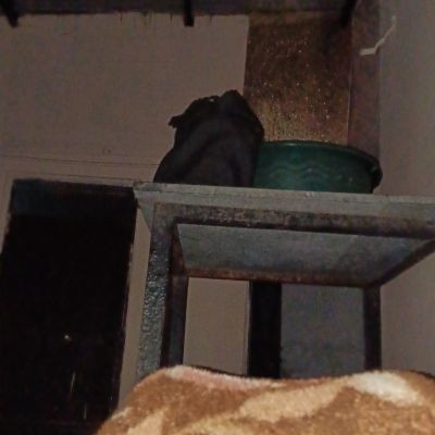 Brocoderoastvideo124 Brocoderoastvideo124