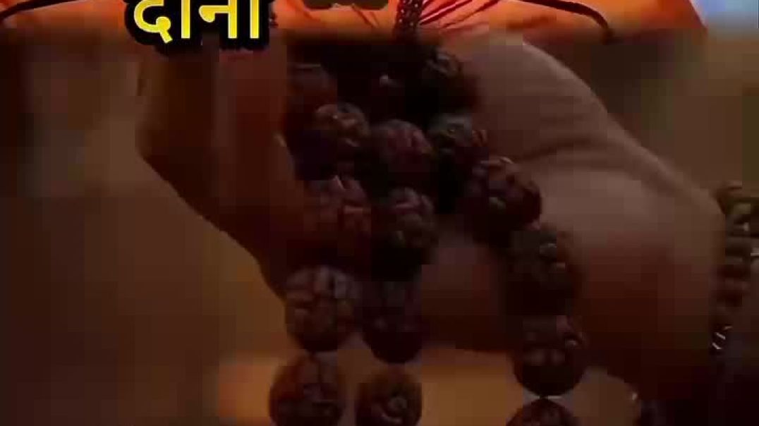 VID_20251130_021256_647