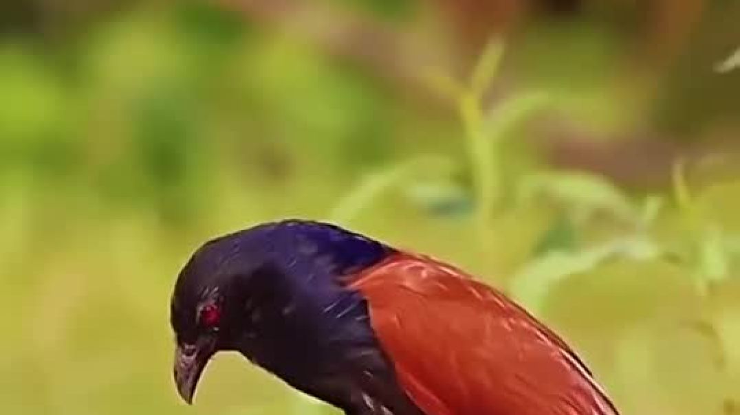 Bg2GlEV3dxcvy17rbjjehewpEoePLoh4KJBY