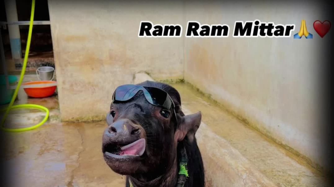 km_20250511-1_1080p_60f_20250511_215036