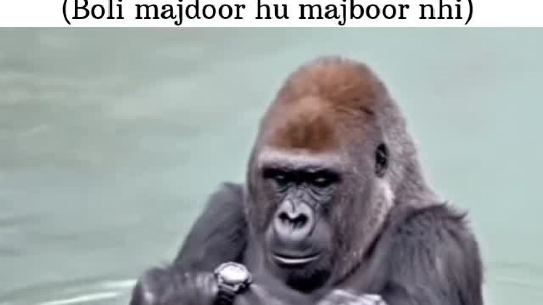 ⁣Comedy 😅😂 #funny #comdey #apnatube