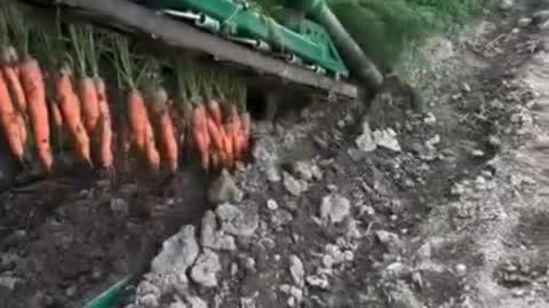 #गाजर_काढायची_मशीन