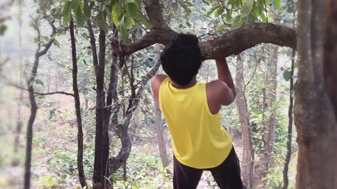 InShot_20251212_101801893