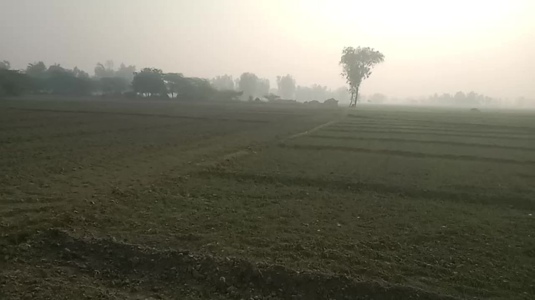 video_20251207_085820