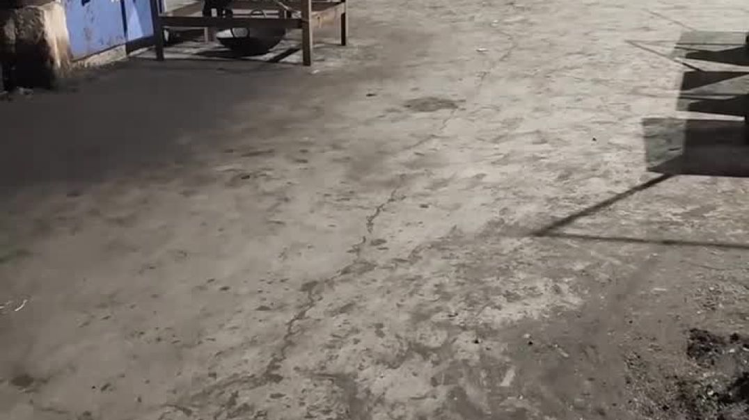 instagram_1765124359850