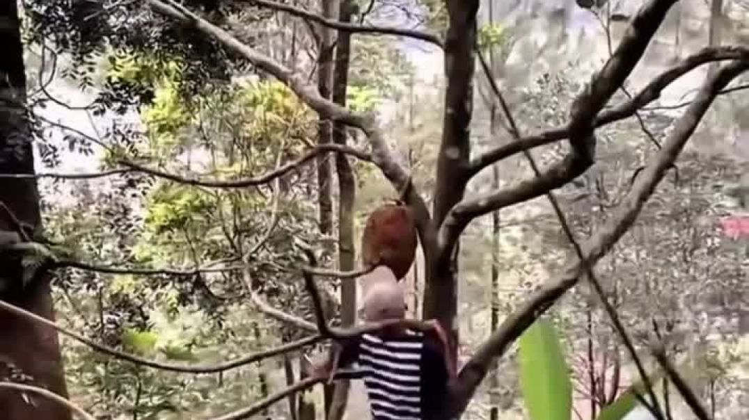 ⁣#viralshorts #comedy #funny #reels #shorts