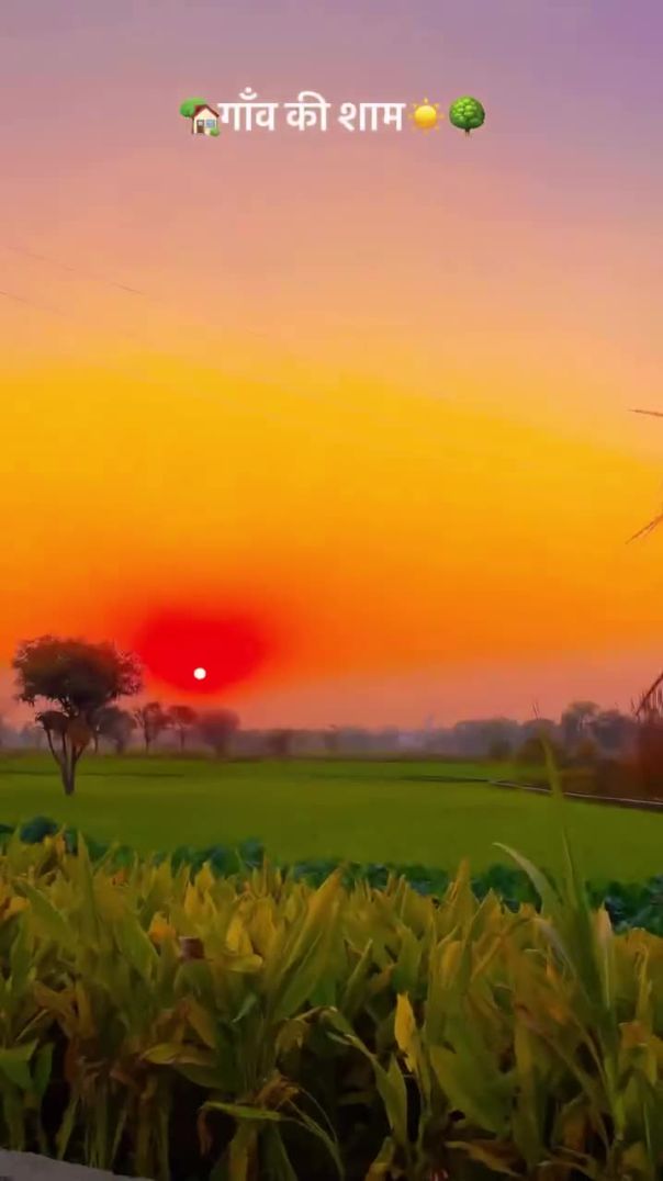 गांव की शाम